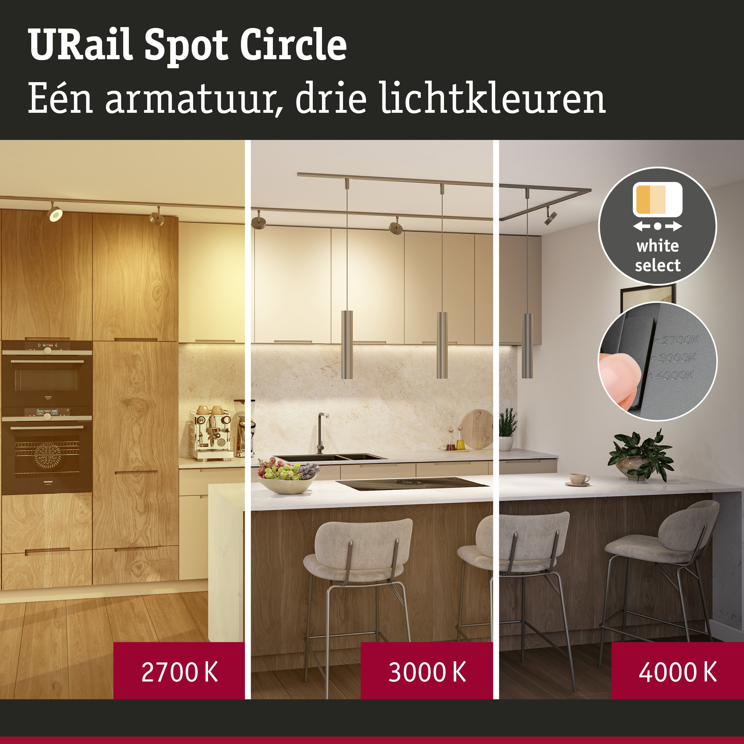 URail Railspot 3-Step-Dim Circle 220lm 3W White Select dimbaar 230V Titaanium