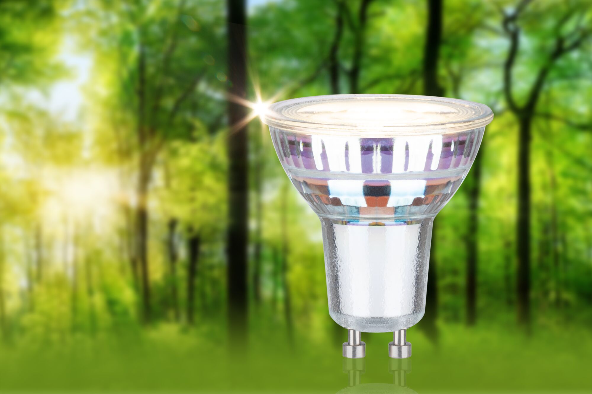 Clear GU10 LED bulb with reflective glass against green forest background for energy-efficient lighting