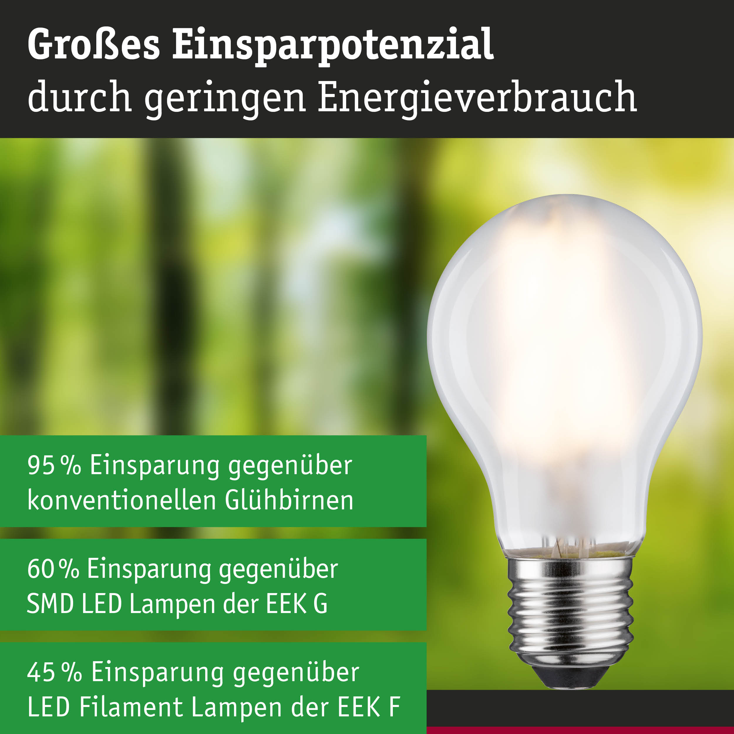 Efficient-Line Filament 230V LED Birne E27 Einzelleuchte 1055lm 5W 3000K Matt