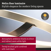 Melira floor lamp in brushed gold and matt black with warm white light for stylish modern living spaces