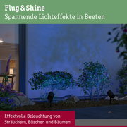 Gartenstrauch mit blauer LED-Beleuchtung durch schwarze Außenstrahler für effektvolle Lichtakzente