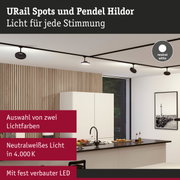 Schwarze URail Spots und Pendel Hildor mit neutralweißem LED-Licht in moderner Küche mit Holzpaneelen