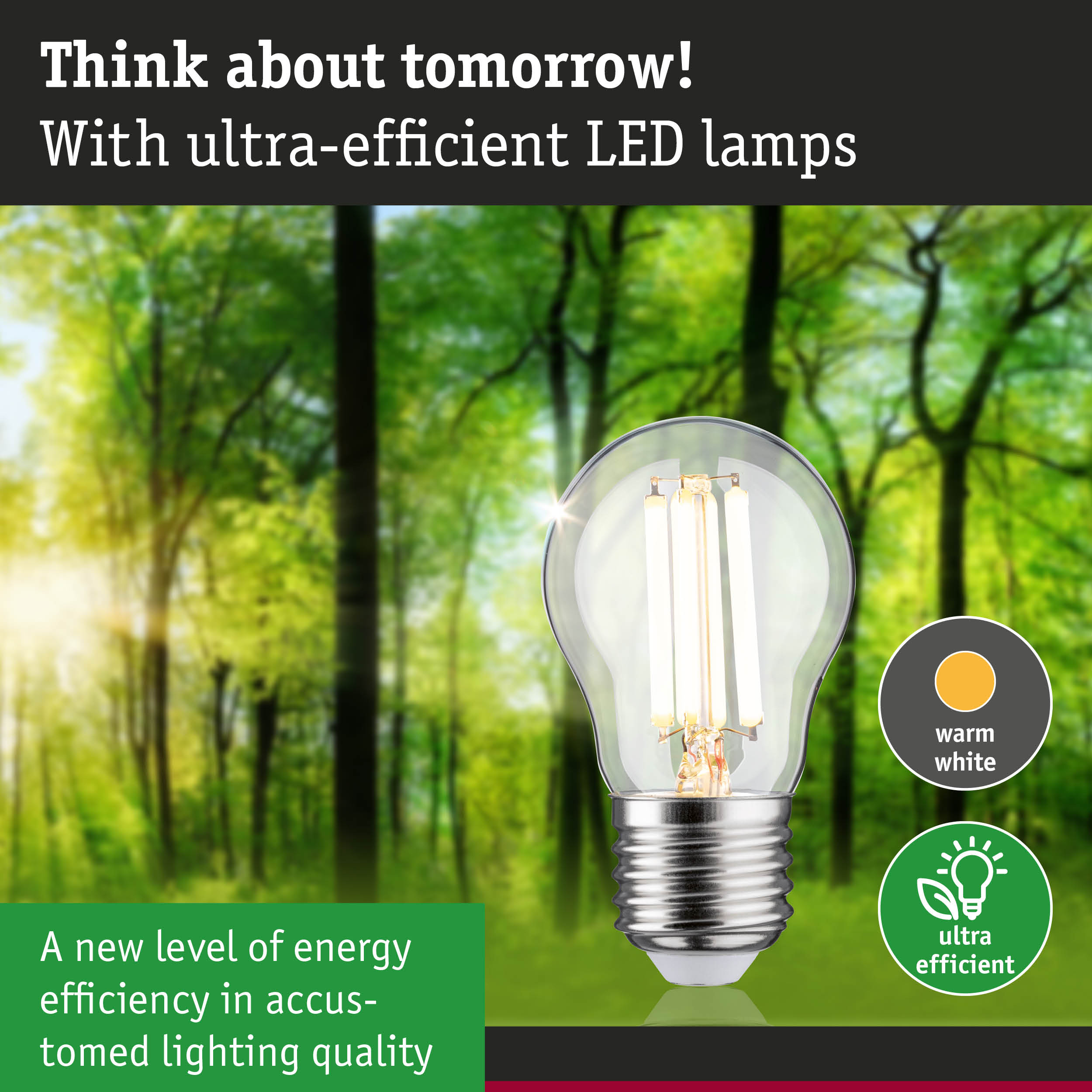 Energy-efficient LED lamp with warm white light shown against a green forest background