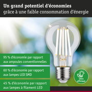 Ampoule LED économique à verre transparent et base argentée pour un éclairage efficace et écologique