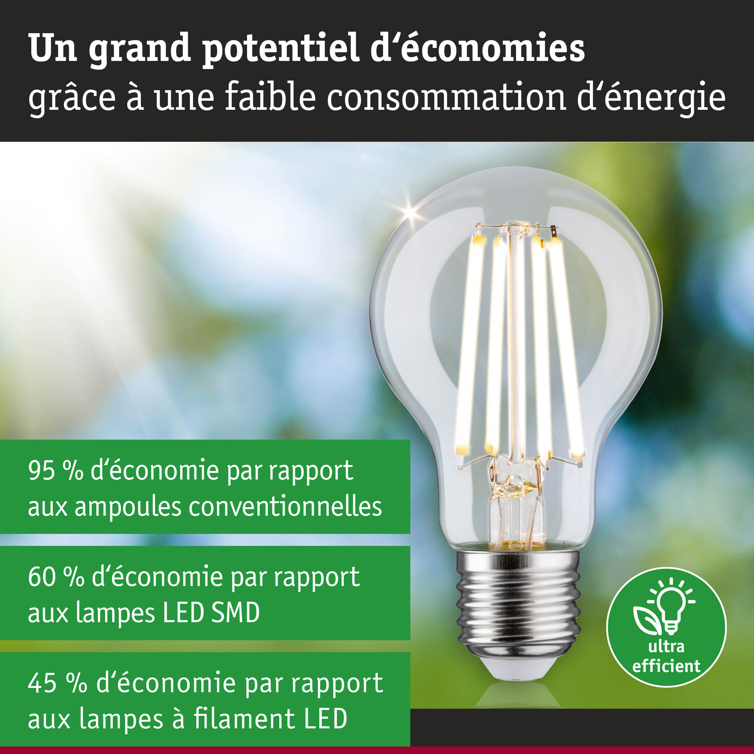 Ampoule LED économique à verre transparent et base argentée pour un éclairage efficace et écologique