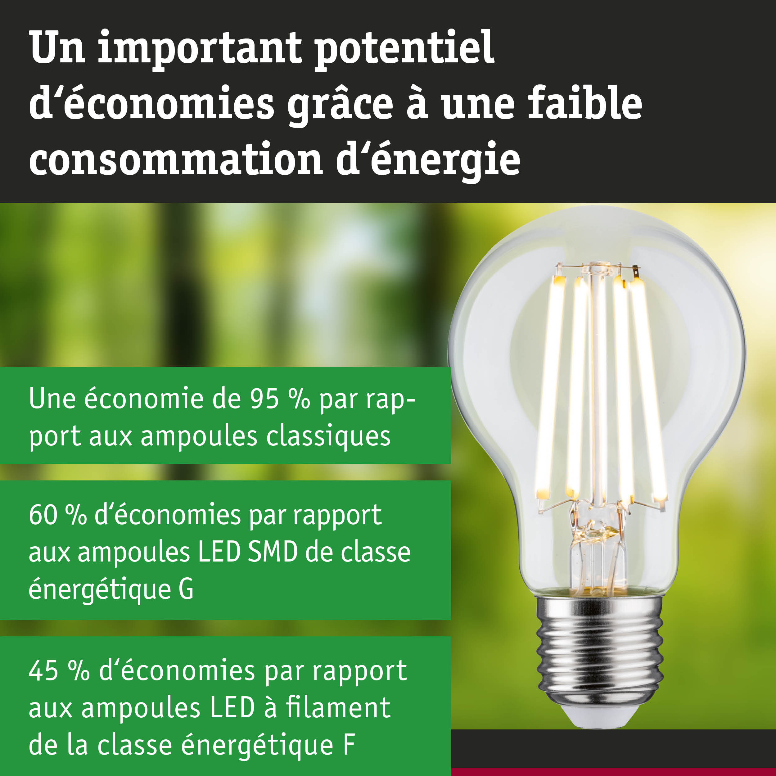Ampoule LED économique à verre transparent et base argentée pour un éclairage efficace et écologique