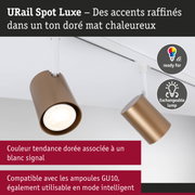 Spot URail Luxe doré mat avec rail blanc, compatible ampoules GU10 LED et mode intelligent