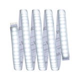 Flexible LED strip light with white LEDs and adhesive backing for versatile lighting solutions.