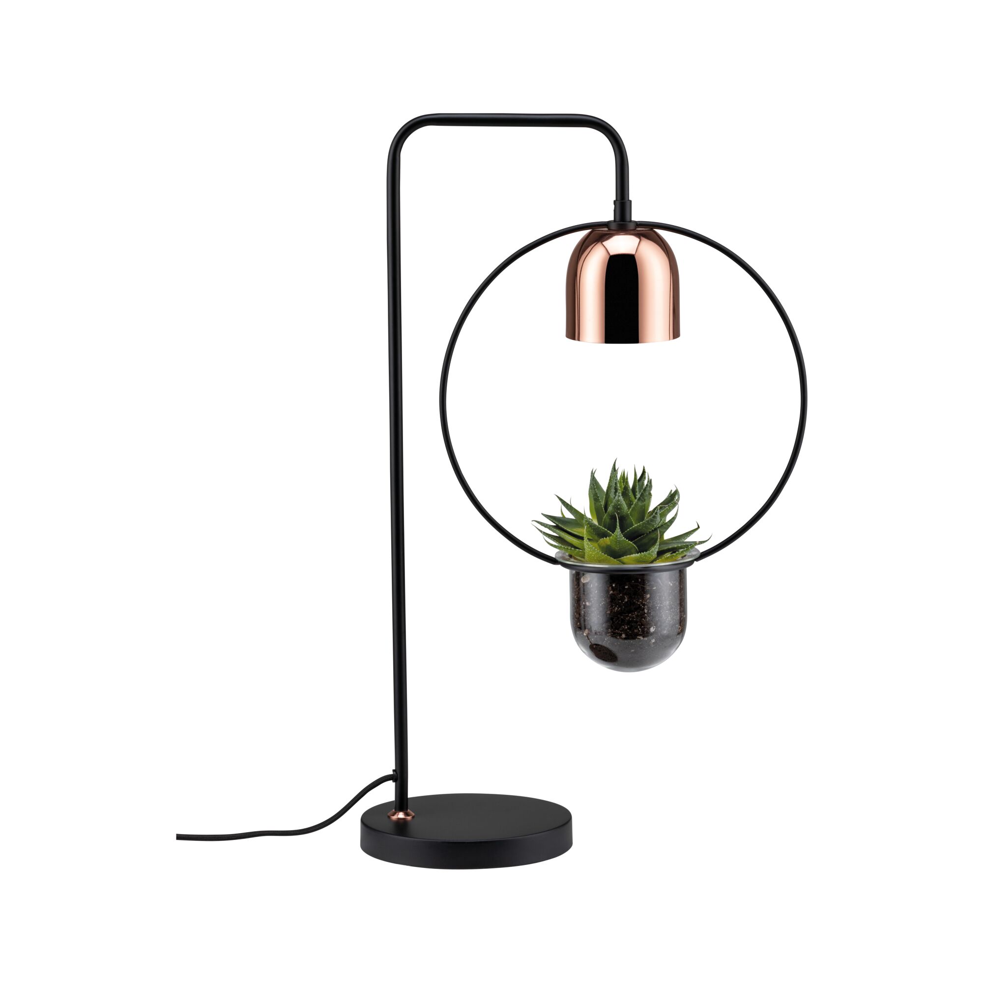 Moderne zwarte tafellamp met koperen kap en geïntegreerde plantenpot met vetplant voor interieur