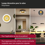 Lampe décorative moderne pour plafond et mur avec lumière blanc chaud et cadre noir pour salon