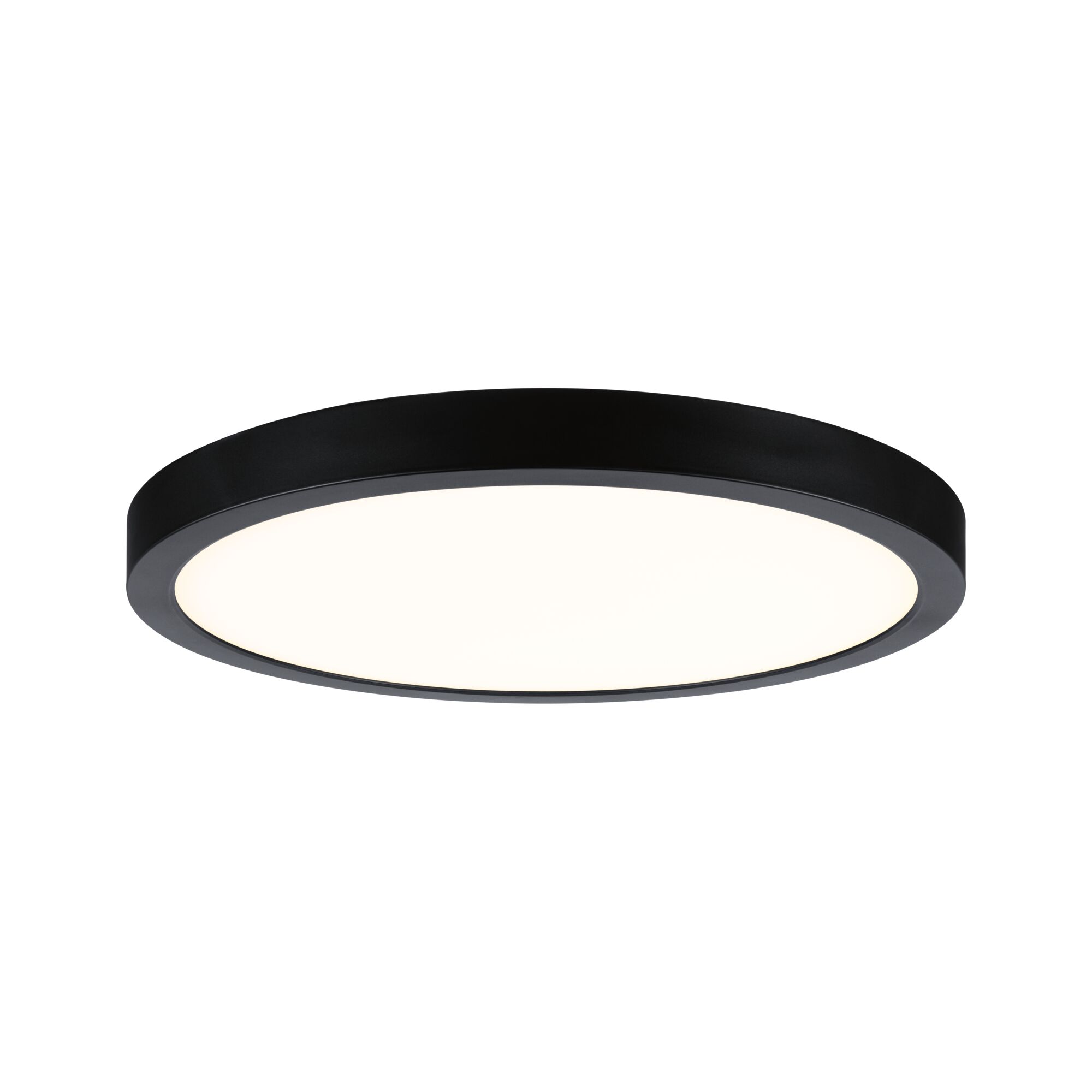 Runde LED-Deckenleuchte mit schwarzem Metallrahmen und weißem Diffusor für modernes Raumlicht