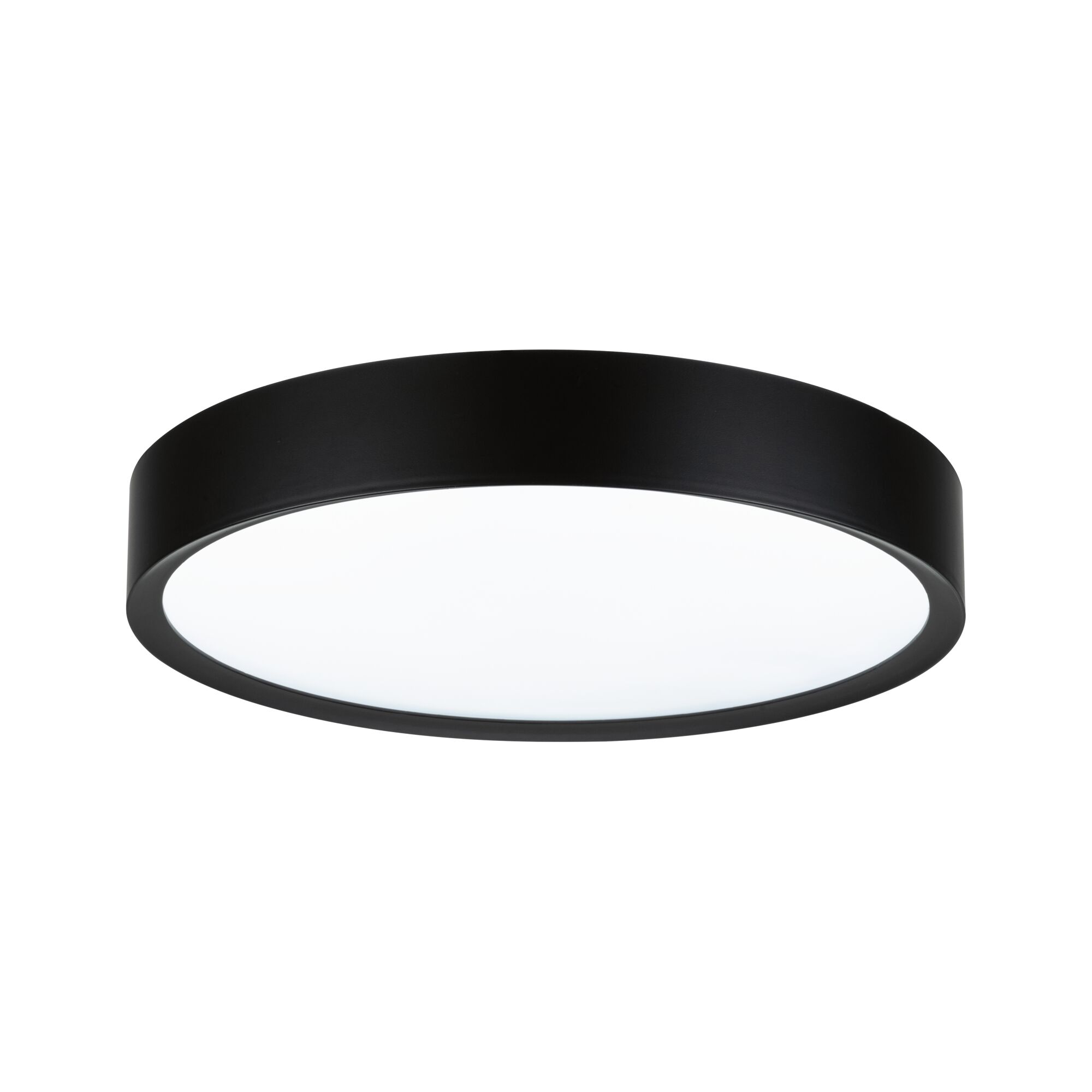 Round ceiling light with black metal frame and white diffuser for modern room lighting