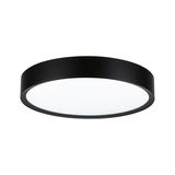 Round ceiling light with black metal frame and white diffuser for modern room lighting