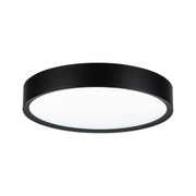 Round ceiling light with black metal frame and white diffuser for modern room lighting