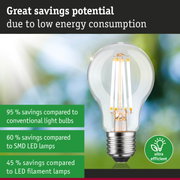 Energy-saving clear glass LED light bulb with silver base for efficient sustainable lighting