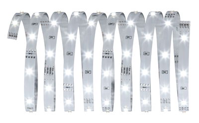 Bande LED flexible blanche 12V pour solutions d'éclairage modernes et polyvalentes