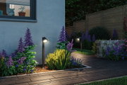 Moderne schwarze Außenleuchten aus Metall beleuchten Gartenweg mit lila und gelben Pflanzen bei Dämmerung
