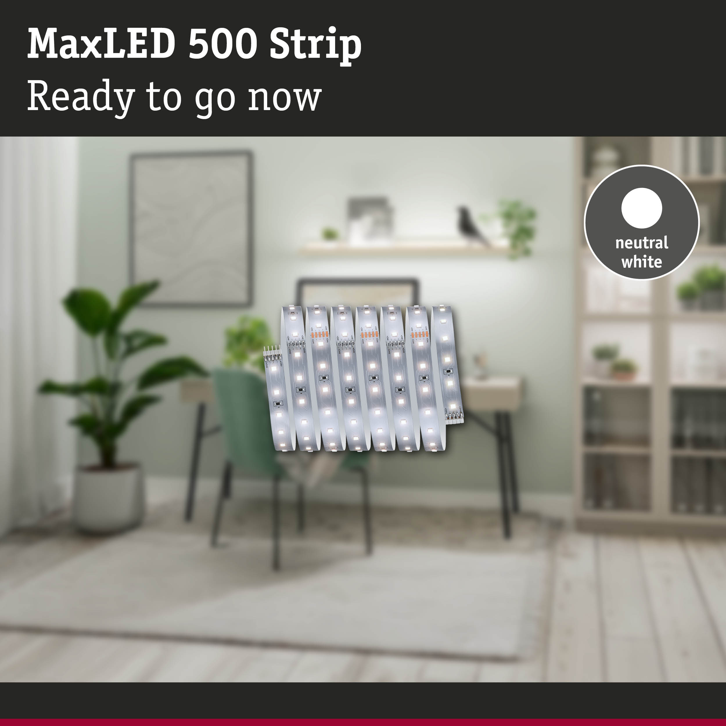 MaxLED 500 Strip LED light strip in neutral white for modern home lighting