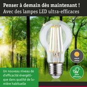 Ampoule LED claire avec lumière blanc chaud et technologie ultra-efficace sur fond de forêt verte