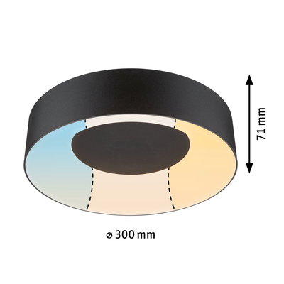 Rund sort LED-loftlampe med 300 mm diameter og varmt hvidt lys til opholdsrum