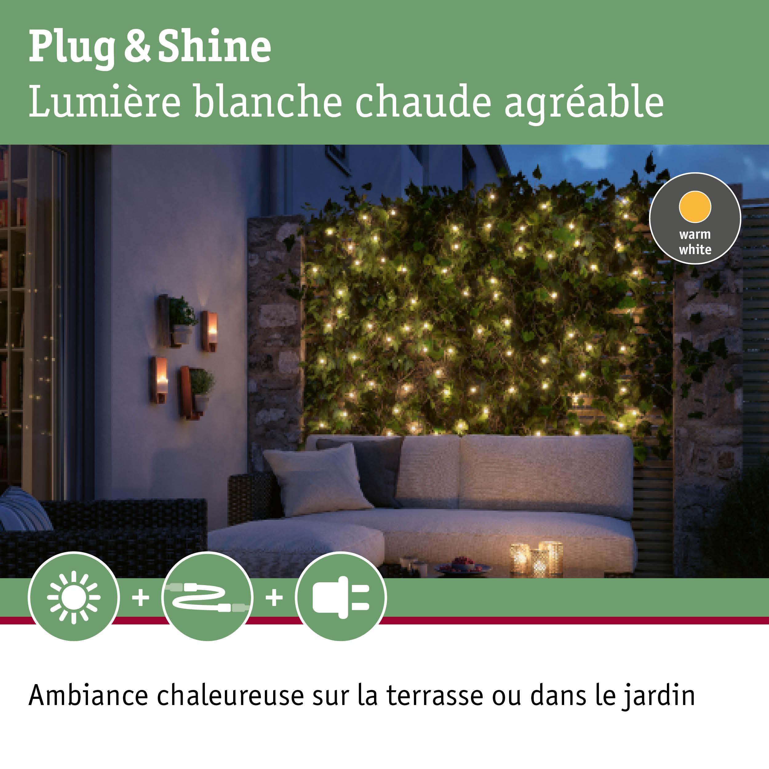 Guirlande LED blanc chaud sur mur végétal pour ambiance chaleureuse sur terrasse ou jardin