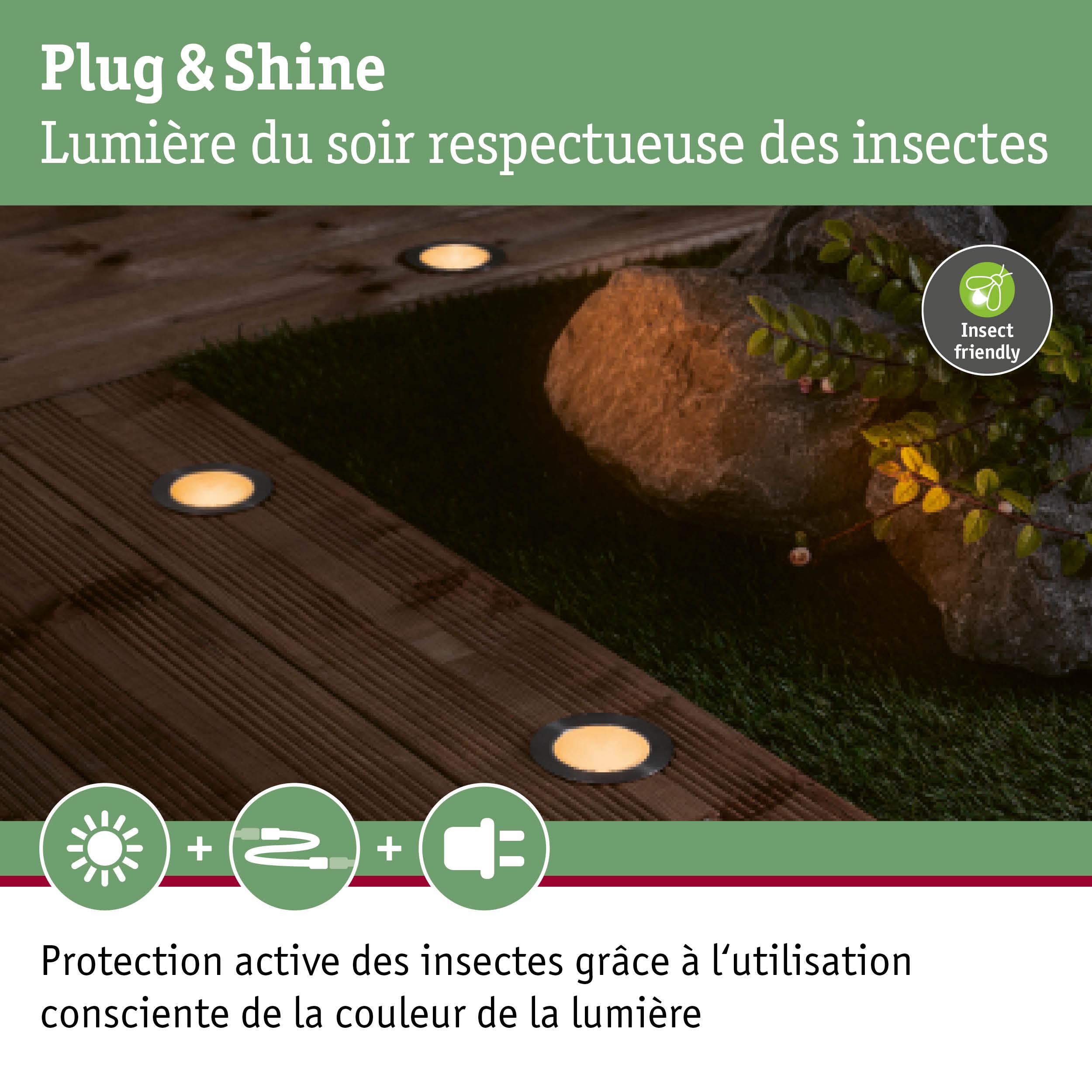 Éclairage LED Plug & Shine blanc chaud au sol sur terrasse en bois respectueux des insectes