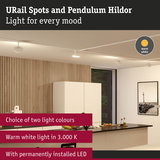 Modern white URail spotlights with warm white 3000K LED light on ceiling above kitchen island with wood panel wall
