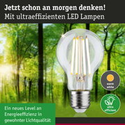 Klarer LED-Leuchtmittel mit warmweißem Licht und hoher Energieeffizienz vor grünem Waldhintergrund