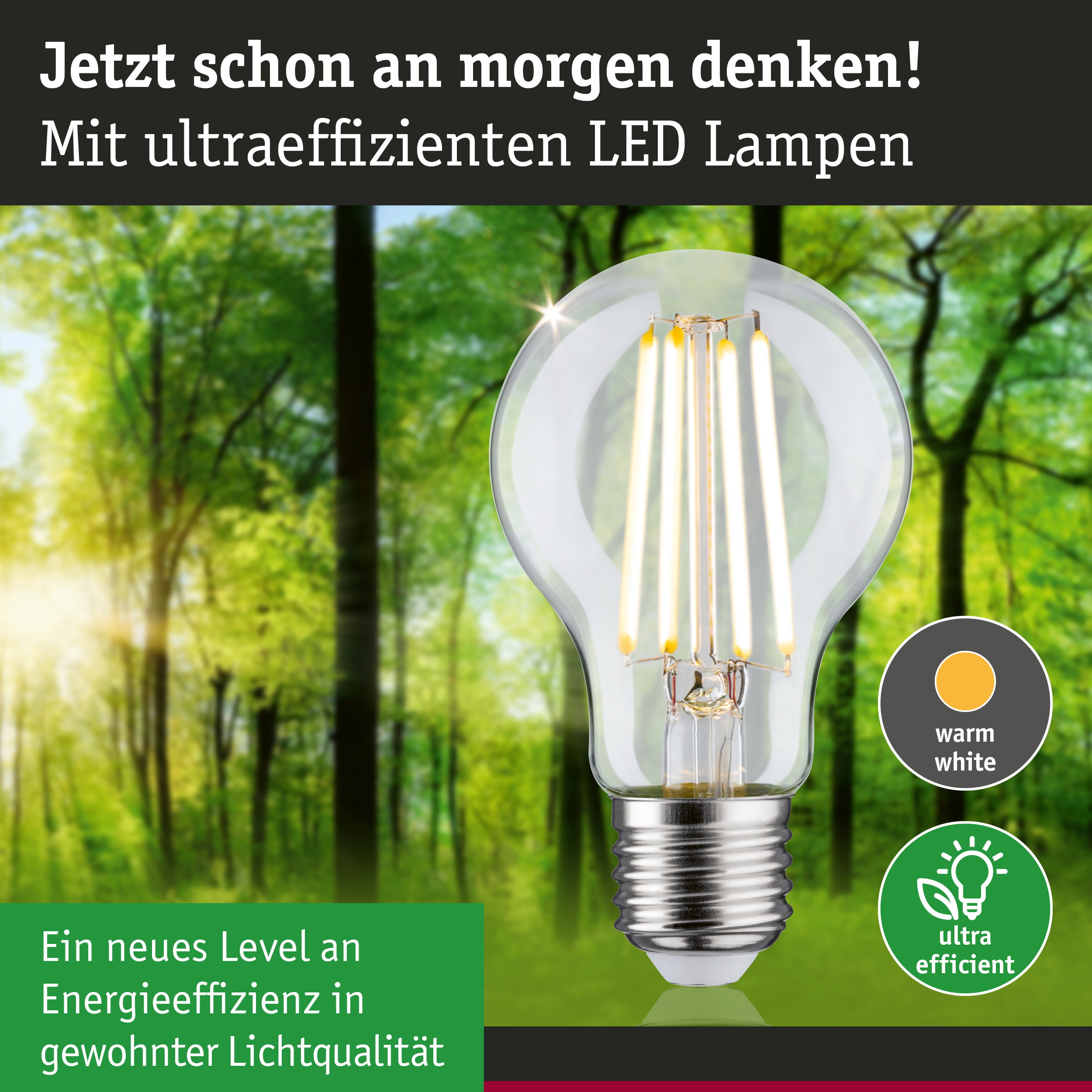 Klarer LED-Leuchtmittel mit warmweißem Licht und hoher Energieeffizienz vor grünem Waldhintergrund