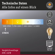 Technische Daten zur extra warmweißen LED-Glühbirne mit 15000 Stunden Lebensdauer und Dimmfunktion