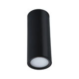 Black cylindrical metal ceiling light with matte diffuser for modern indoor lighting
