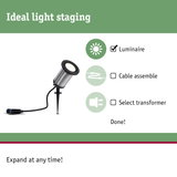 Stainless steel outdoor spotlight with black trim and ground spike for garden lighting and staging