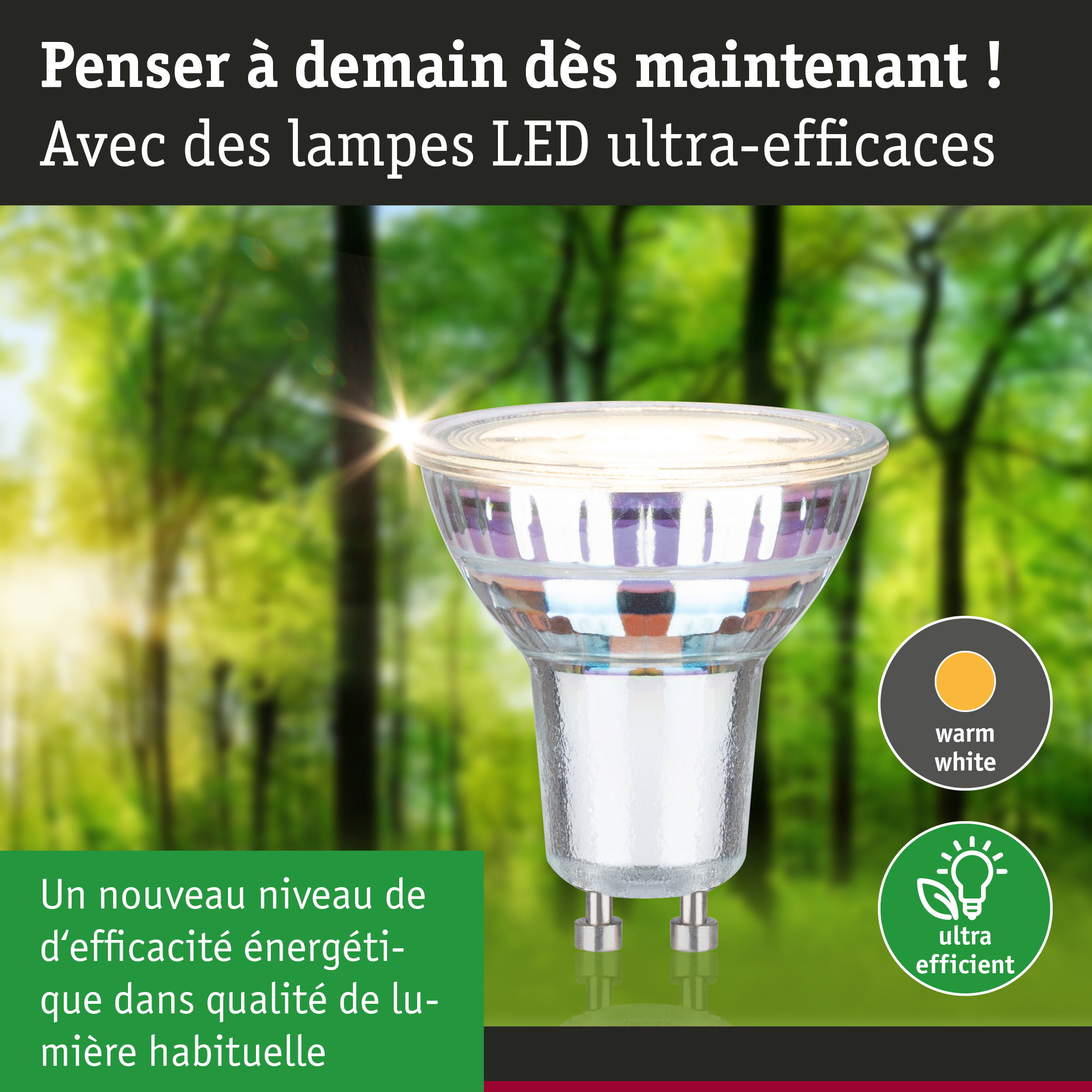 Ampoule LED claire avec culot GU10 en lumière blanc chaud, lampe LED ultra-efficace et économique