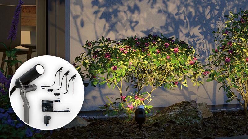 Kit de démarrage Outdoor Plug & Shine avec projecteur LED noir éclairant des plantes de jardin la nuit