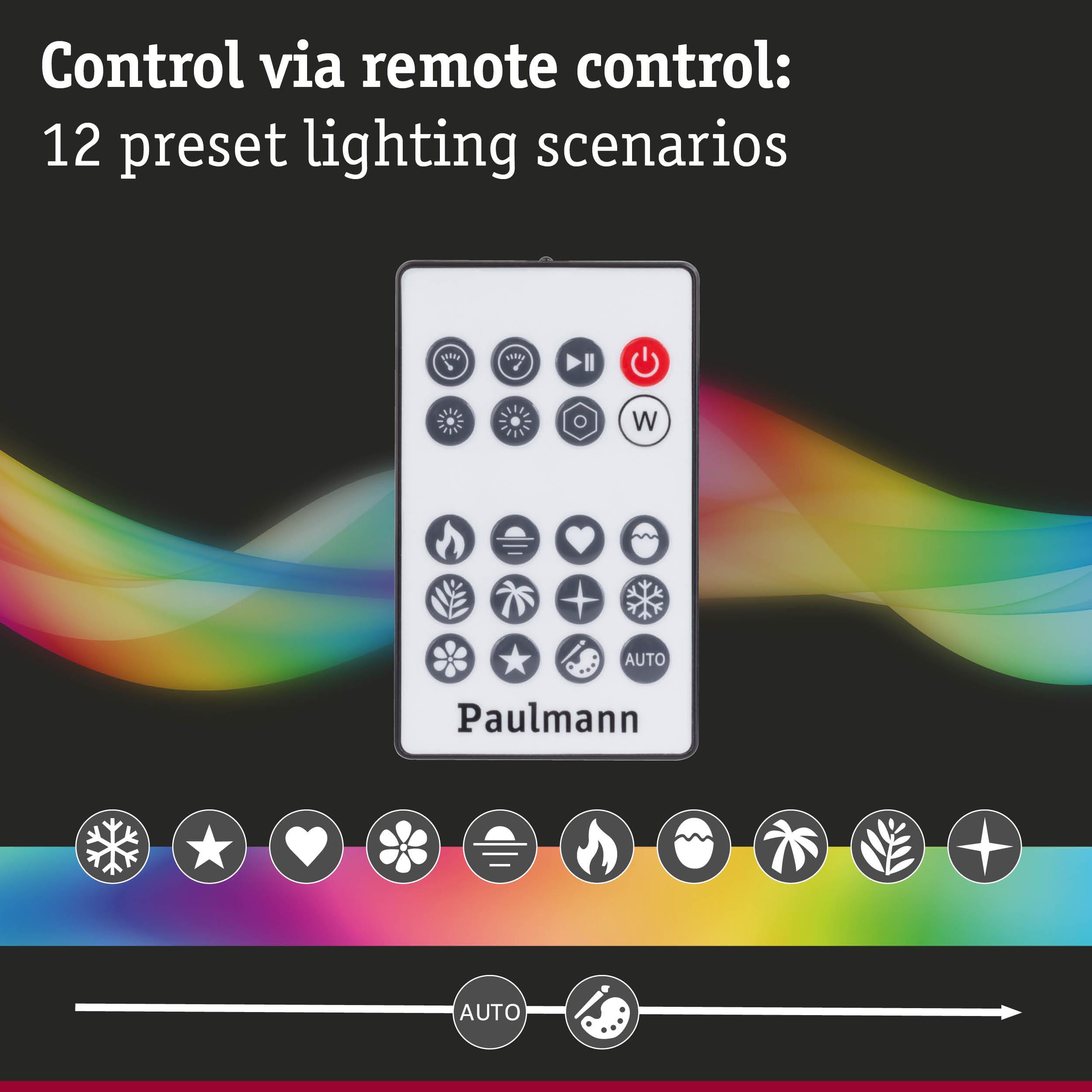 White Paulmann remote control with 12 preset lighting scenarios for smart light management