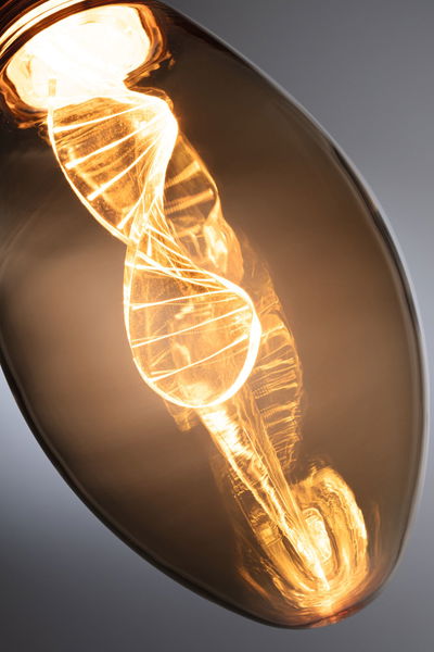 Nahaufnahme einer warmweißen LED-Glühbirne mit spiralförmigem Filament in bernsteinfarbenem Glas