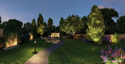 Allée de jardin éclairée par des lampes LED extérieures et arbres illuminés pour une ambiance chaleureuse.