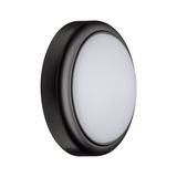 Plafonnier LED rond avec boîtier noir et diffuseur blanc pour éclairage intérieur moderne