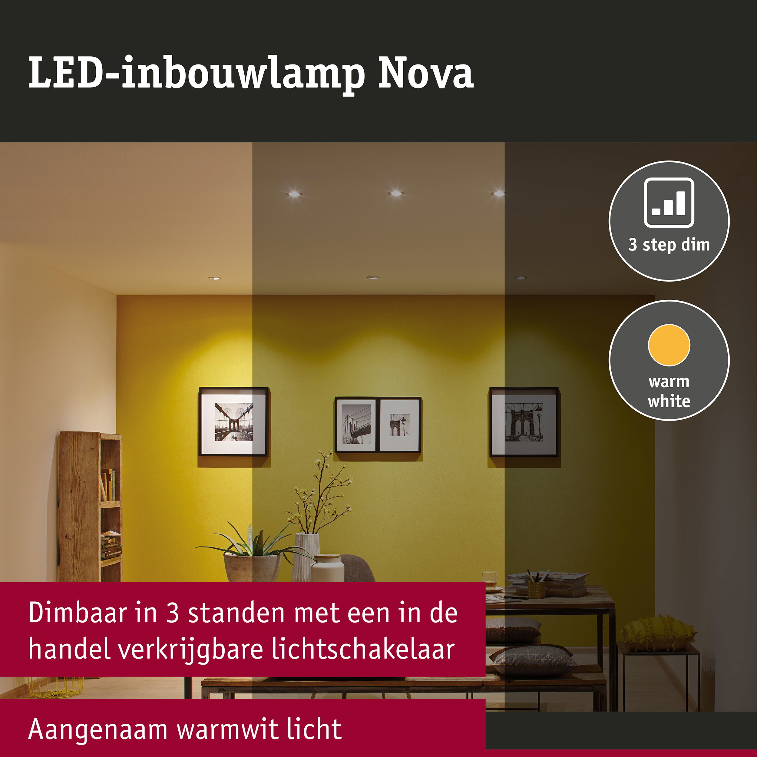 LED-inbouwlamp 3-Step-Dim Nova Coin star IP44 rond 78mm Coin 6W 470lm 230V dimbaar 2700K Staal geborsteld