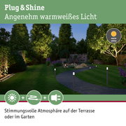 Gartenweg mit warmweiß beleuchteten Pollerleuchten für stimmungsvolle Außenbeleuchtung