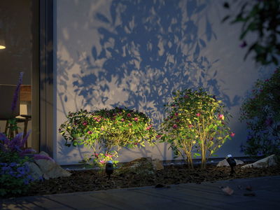 Tuin met verlichte bloeiende struiken en moderne buitenverlichting voor sfeervolle accenten.