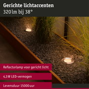 Standaard 230 V LED-reflector GU10 insectvriendelijk 320lm 4,3W 2200K Zilver