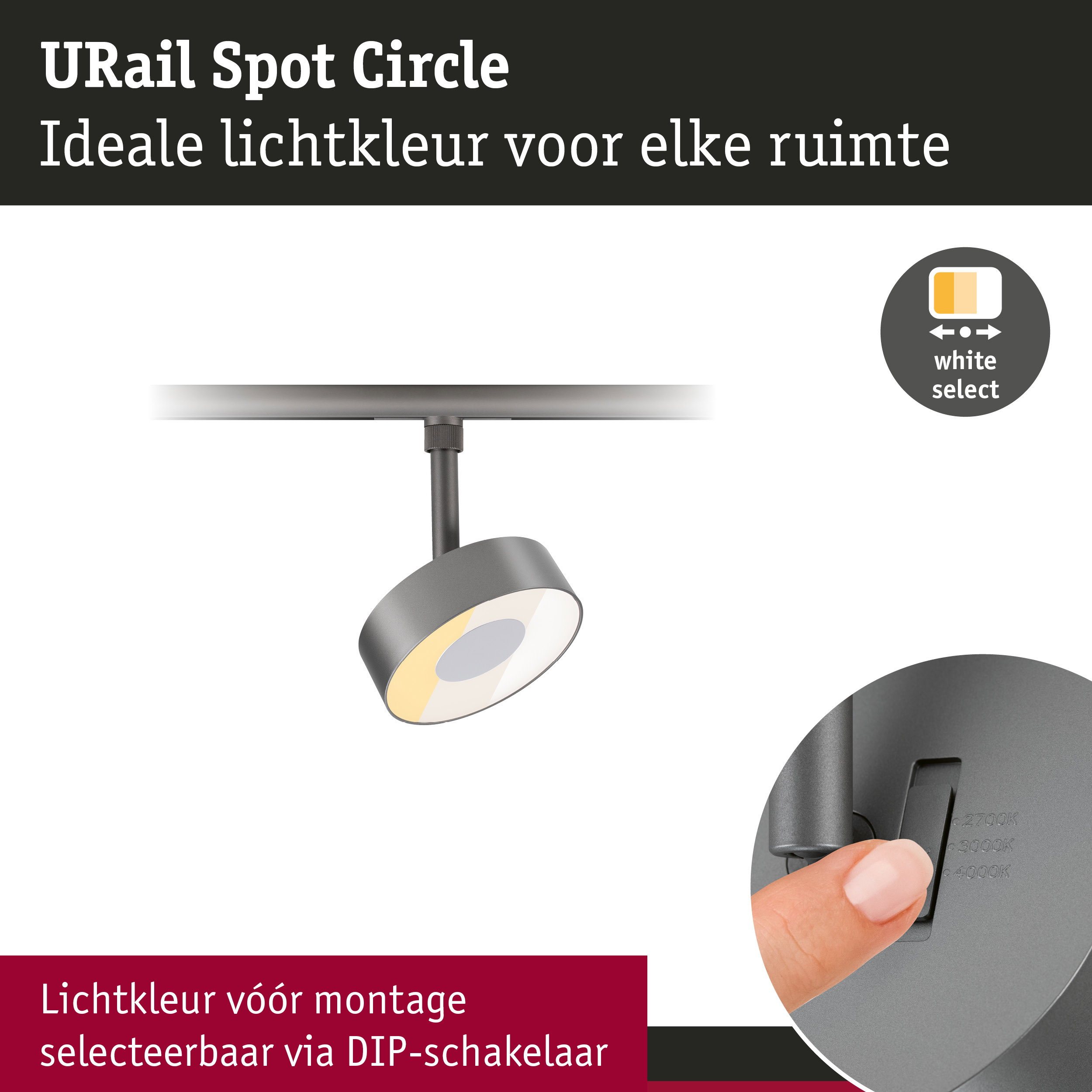 URail Railspot Circle 160lm 3W White Select dimbaar 230V Titaanium
