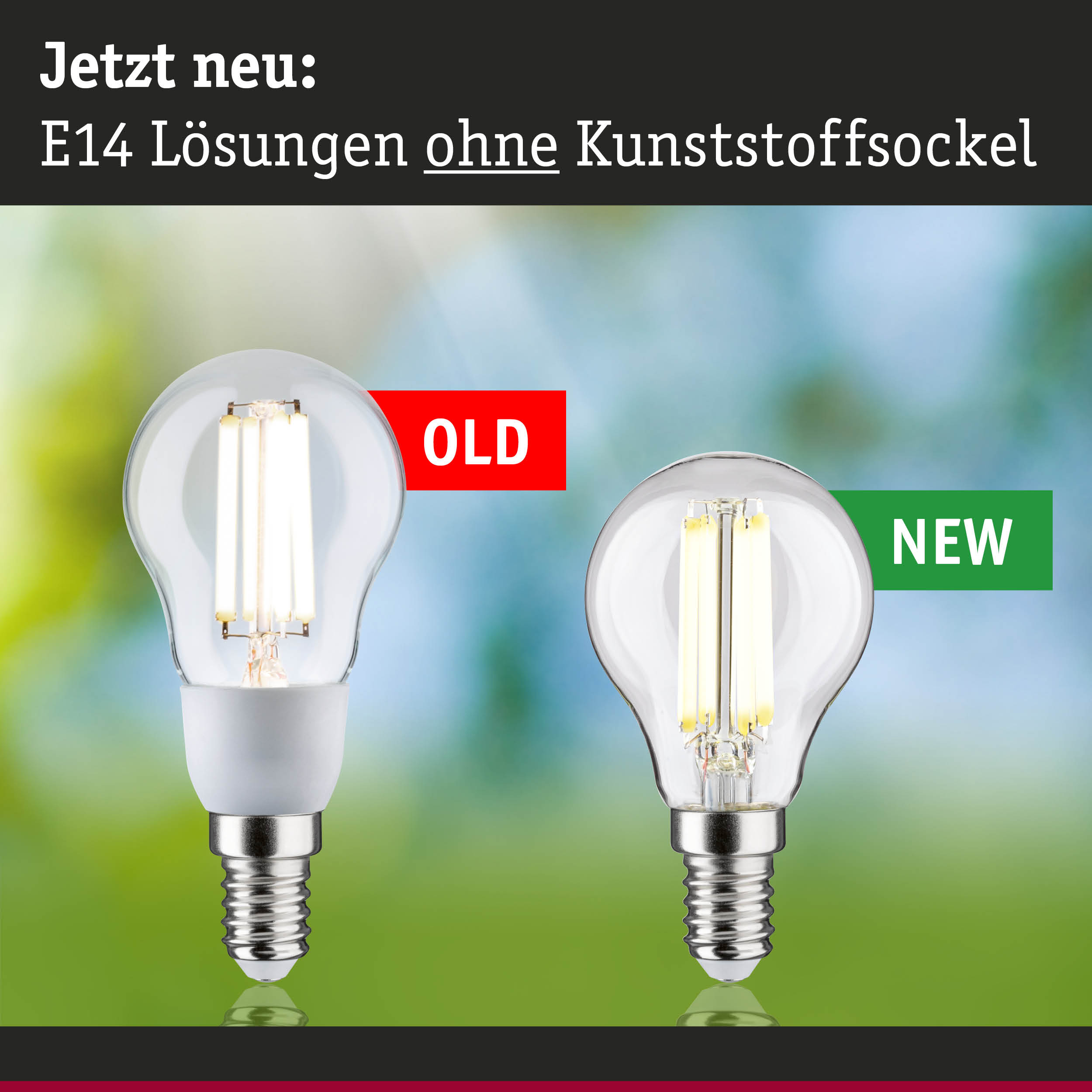 Vergleich von E14 LED-Leuchtmitteln mit und ohne Kunststoffsockel in klarem Glas für energiesparende Beleuchtung