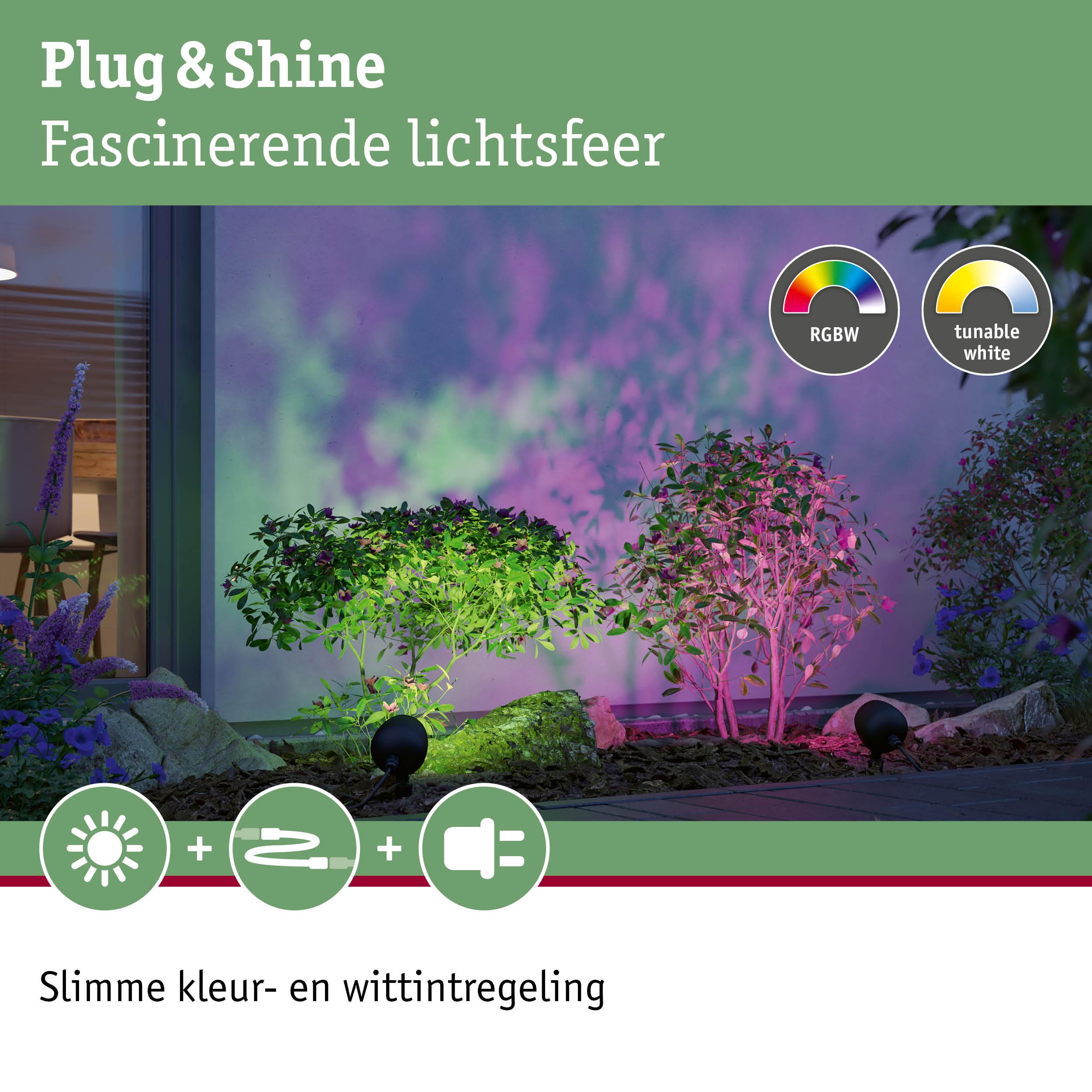 Buitenverlichting met RGBW- en witlichtregeling die planten en muren kleurrijk verlicht