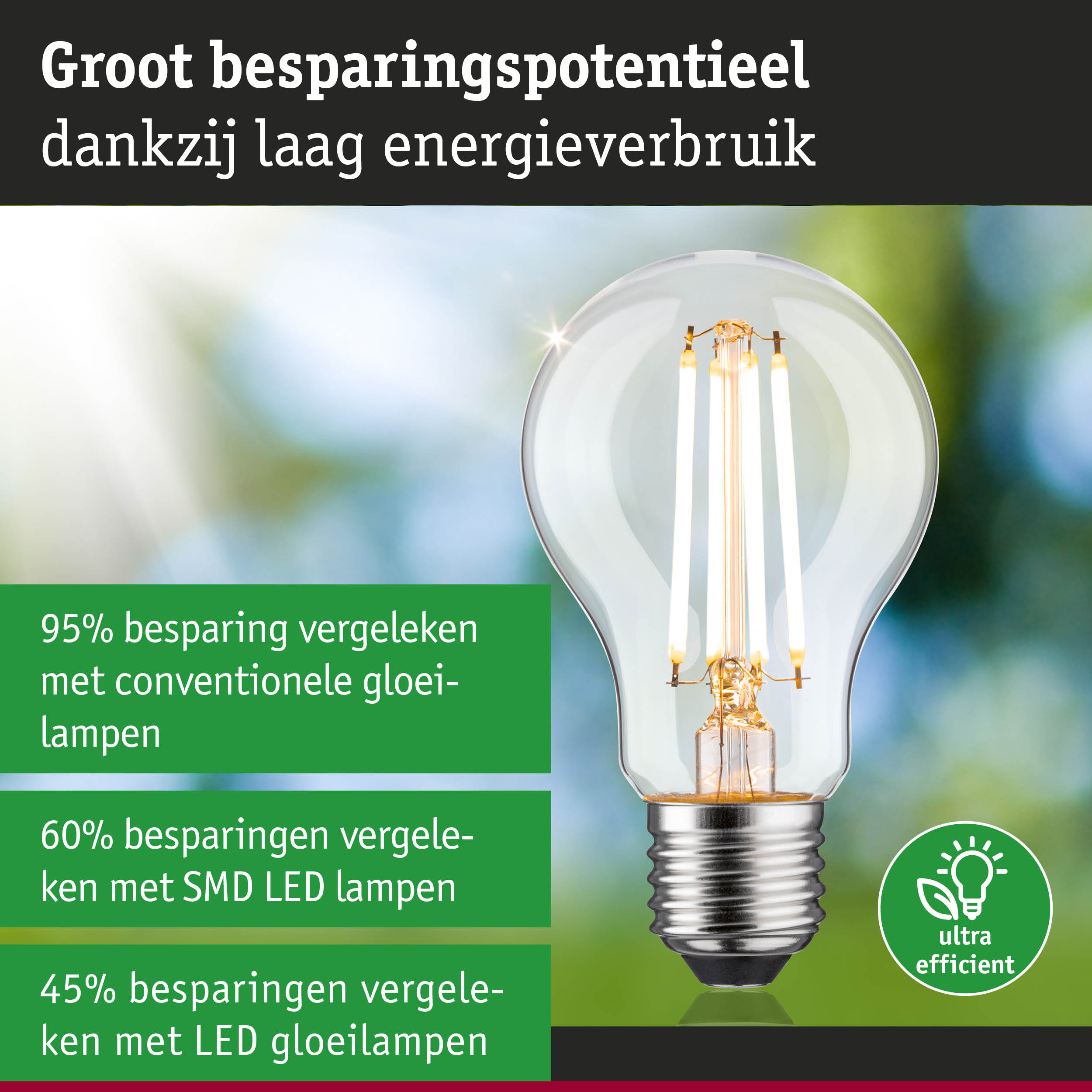 Energiezuinige LED-gloeilamp met helder glas en zilveren fitting voor duurzame verlichting