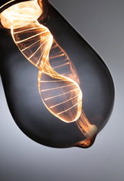 Close-up of a light bulb with spiral LED filament emitting warm white light for decorative lighting