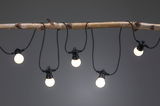 String lights with five warm white LED bulbs on black cable, decoratively hung on a branch