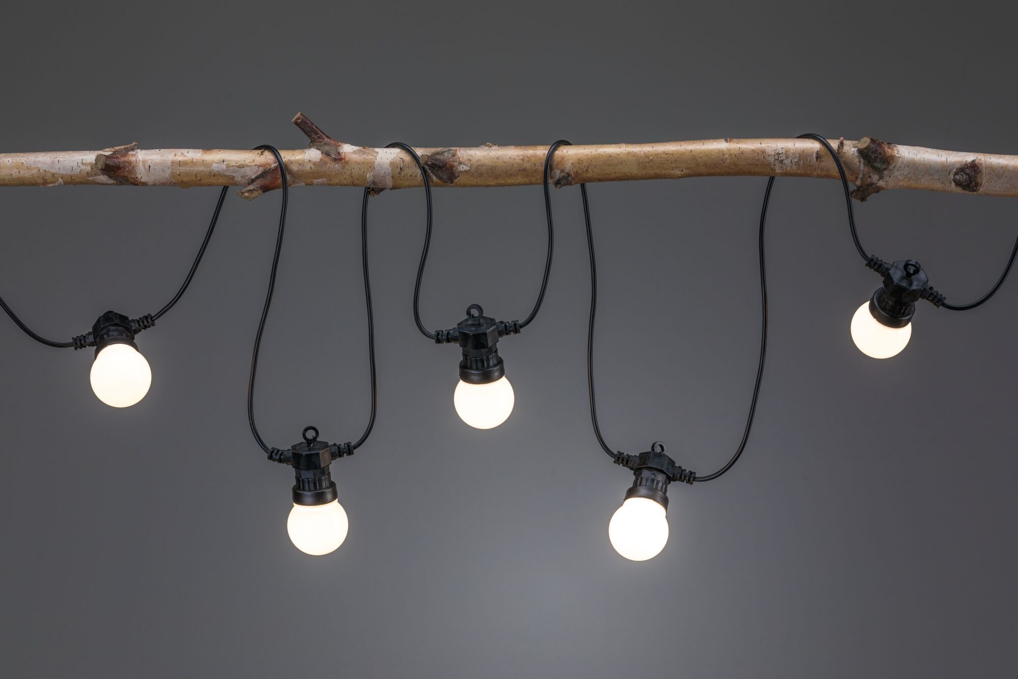 Lyskæde med fem varm-hvide LED-pærer på sort kabel, dekorativt hængt på en gren