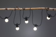 Lichterkette mit fünf warmweißen LED-Glühbirnen an schwarzem Kabel, dekorativ an Ast gehängt